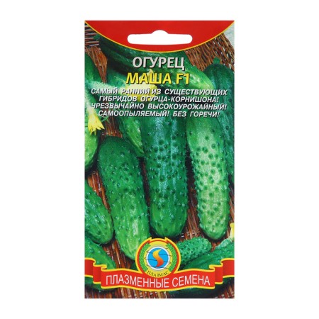 Seeds of cucumber "Masha" F1, Early Nednie, Partenocarpic, 5 pcs