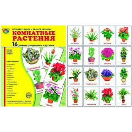 Demonstration pictures. Houseplants. 16 demonstration pictures with text. 174x220 mm