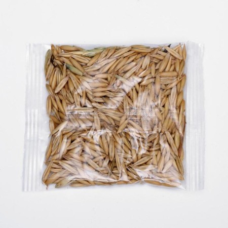 Seeds "Herring for germination", package, 20 g-3