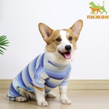 Popon postoperative, viscose, size M (Osh 25, OG 38, from 31 cm, weight 5-8 kg), blue