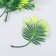 Decor for creativity "Palm leaf on the stem" set 5 pcs Green gradient 8x13.5 cm