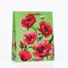 Gift Package 