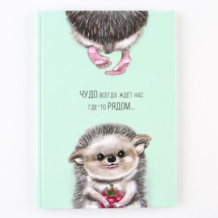 Diary "Miracle near", hard cover, A5, 80 sheets-5
