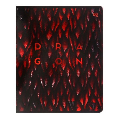 Notebook 48 sheets of Dragon-Like cage, covered cardboard, metallization, mix-4
