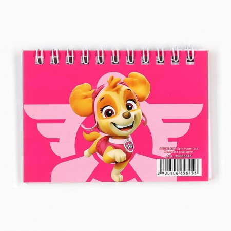 Set of notebooks A7 28l 4 pcs, puppy patrol-8