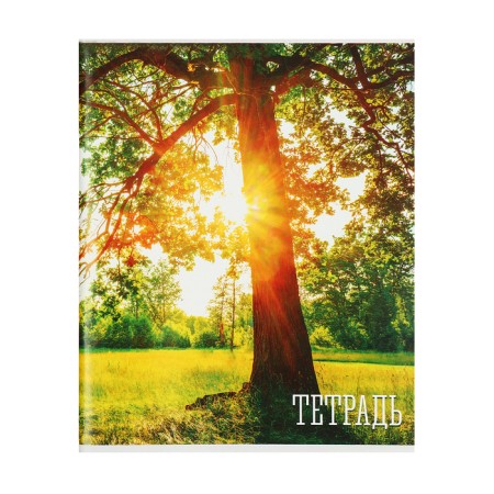 Notebook of 48 sheets in the Calligrata “Seasons” cage, covered paper cover, block No. 2, whiteness 75% (gray sheets), mix-5