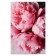 Picture on canvas "Favorite Flowers" 40*60 cm