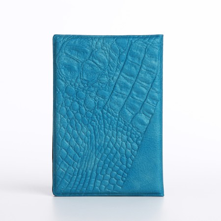 Covers for passport, turquoise color-1