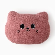 Decorative Etheel Pillow 