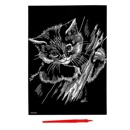 Engraving "kitten" with a metallic effect "Rainbow" A4-2