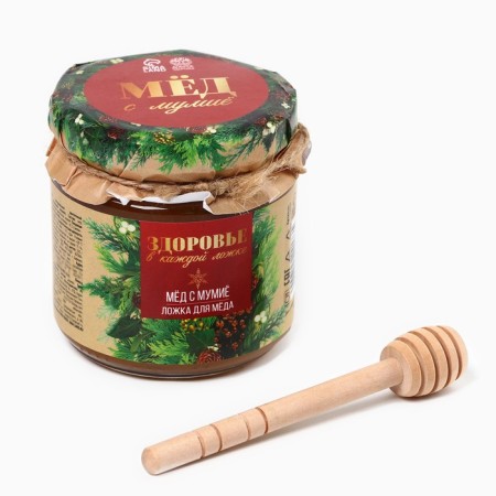 New Year! Honey and spoon "Health in each spoon", 240 grams-2