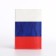 Cover for passport, Tricolor color