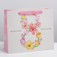 Package Gift Laminated Horizontal, Packaging, 