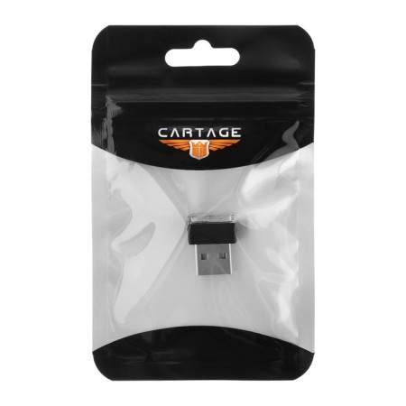 Lighting into the car interior, USB, blue-3