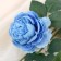 Artificial flowers "Rosa Terition" 8x60 cm, blue mix