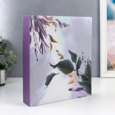 Photo album 50 magnetic sheets (100 -steer) 
