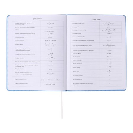 Universal diary for grade 1-11 Modern Concept, solid cover, artificial leather, silkography, liesse, 80 g/m2-8