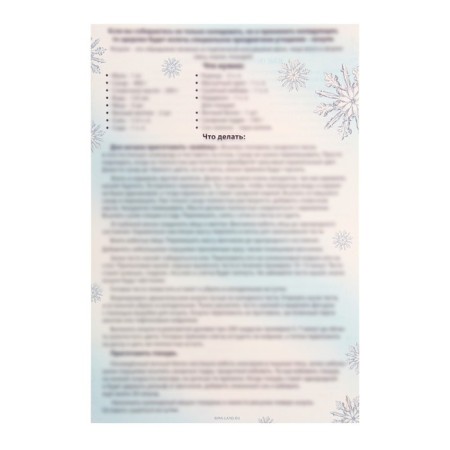 New Year's game "Kolyada came"-6