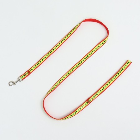 The “Bones and Paws” set of a reflective, leash 120 x 1.5 cm, OG 36-52 cm, red-5