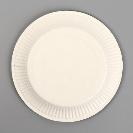 Disposable paper plate-3