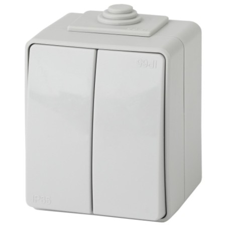 Double IP65, 10AX-250V, OU, Era Expert, Gray