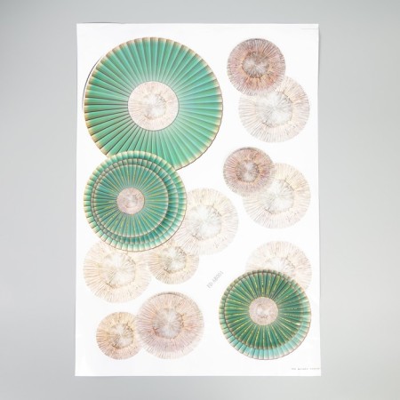 Interior plastic sticker 3D "Cosmic flowers" 52x35 cm