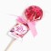 Lollice with flowers "You are brighter than all", taste: strawberries, without sugar, 14 g.