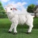 Garden figure "lamb" 30x12x31cm