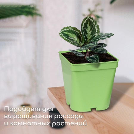 Pot for seedlings, 3 l, d = 16 cm, h = 16 cm, green, greengo-2