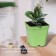 Pot for seedlings, 3 l, d = 16 cm, h = 16 cm, green, greengo