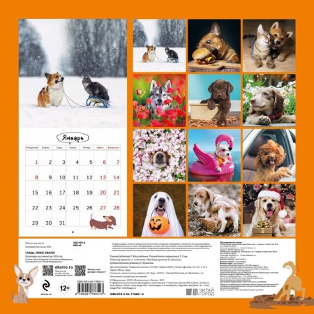 The surface, love, praise! Wall Calendar with Shkodny Dogs for 2024, 30x30 cm-1