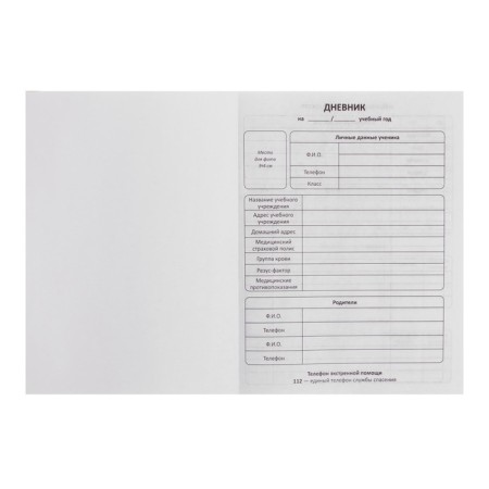 Universal diary for grades 1-11 Aquarium, hard cover, matte lamination, cheat sheet, 48 sheets-3