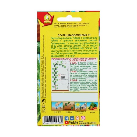 Seeds of cucumber "Small -Solchik F1", early adhesive, parthenocarpic, 10 pcs-1