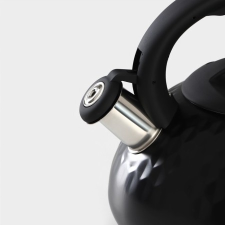 A kettle with a stainless steel whistle Magistro Glow, 3 L, Induction, Soft-Touch handle, Black color-2