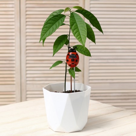 Soil meter 3 in 1: for humidity, acidity, illumination, “ladybug”-13