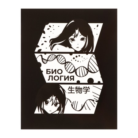 A set of subject notebooks of 48 sheets, an anime comic book, 12 items, with reference material, covered cardboard, Uf-lak (full), OFSET block-20