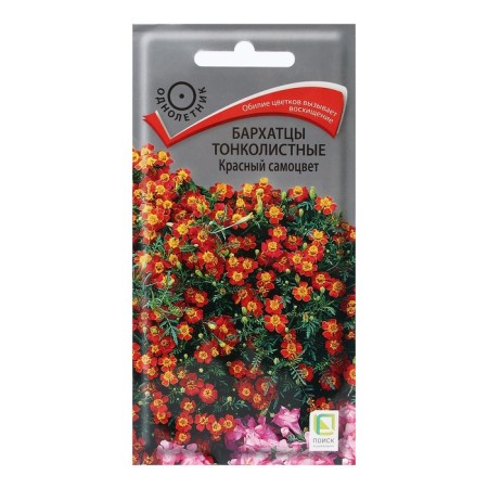 Flower seeds of velvets thin -leaved "red gem" 0.1 g