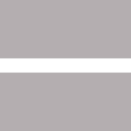 Tinting strip on the windshield, Skyway, 18x165 cm, long, white color, s09501008