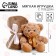 Soft toy with a plaid "Mishutka"