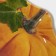 Glass Serving shade "Pumpkin", 19.5 × 16.5 × 1.7 cm, color orange color