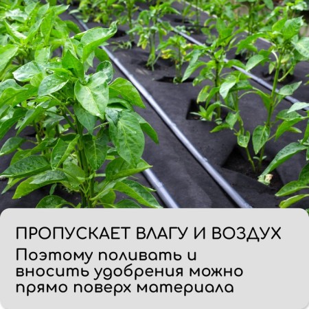 Mulching material, 10 × 0.8 m, density 80 g/m², spanbond with UV stabilizer, black, Greengo, economy 30%-5