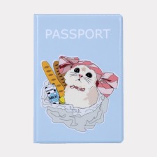 Cover for passport, blue color