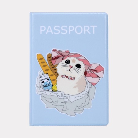 Cover for passport, blue color