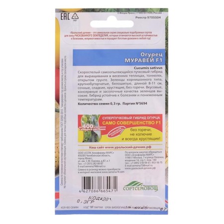 Seeds Cucumber Ant F1 10 pcs-3