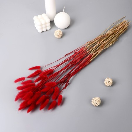 Sukhotzet "Lagurus" 65 cm, red (packing 30 pcs, price per 1 pc)-2