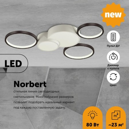 Ceiling chandelier Norbert LED 80W 5280lm, C
