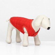 Dog jacket 