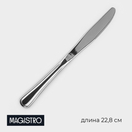 Stainless steel knife Magistro Versal, length 22.8 cm, thickness 3.5 mm