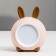 Night "Bunny" LED 2W mix 8x9x12 cm Risalux