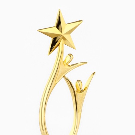 The Cup "Winner in Life", award figure, gold, plastic, 18 x 6 cm.-4
